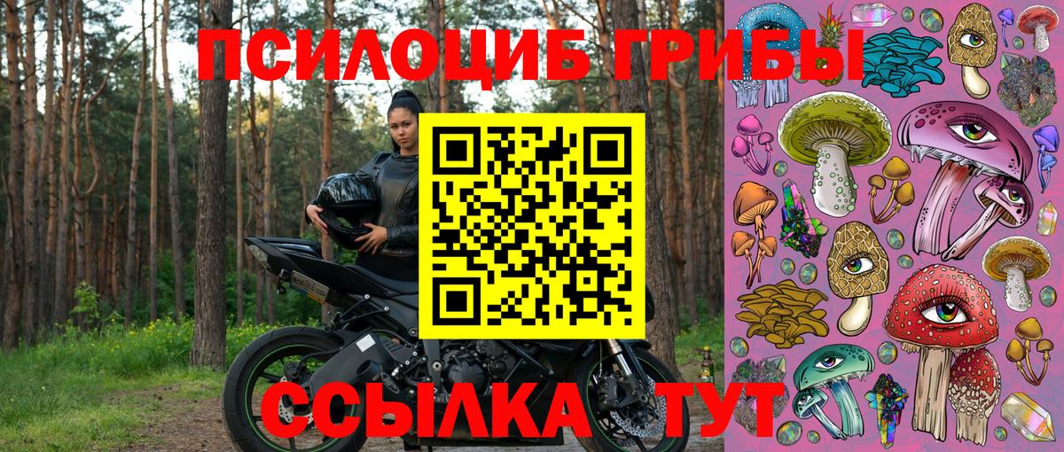 Галлюциногенные грибы Cubensis Ялта