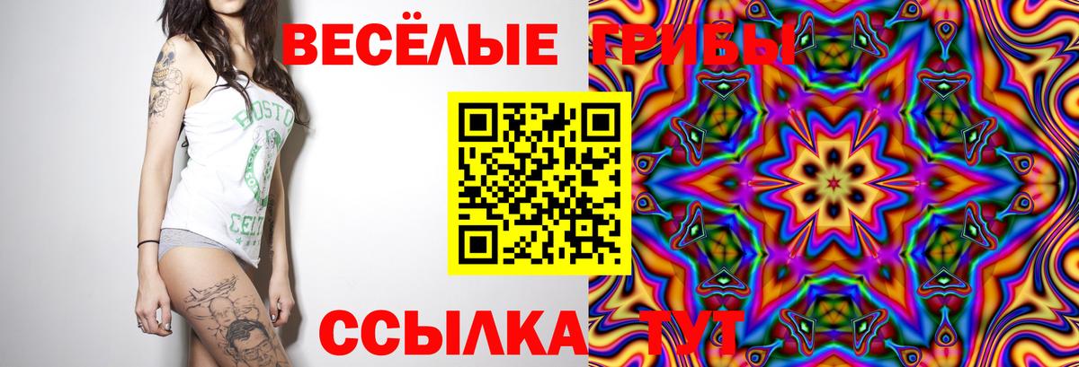 Псилоцибиновые грибы GOLDEN TEACHER Ялта